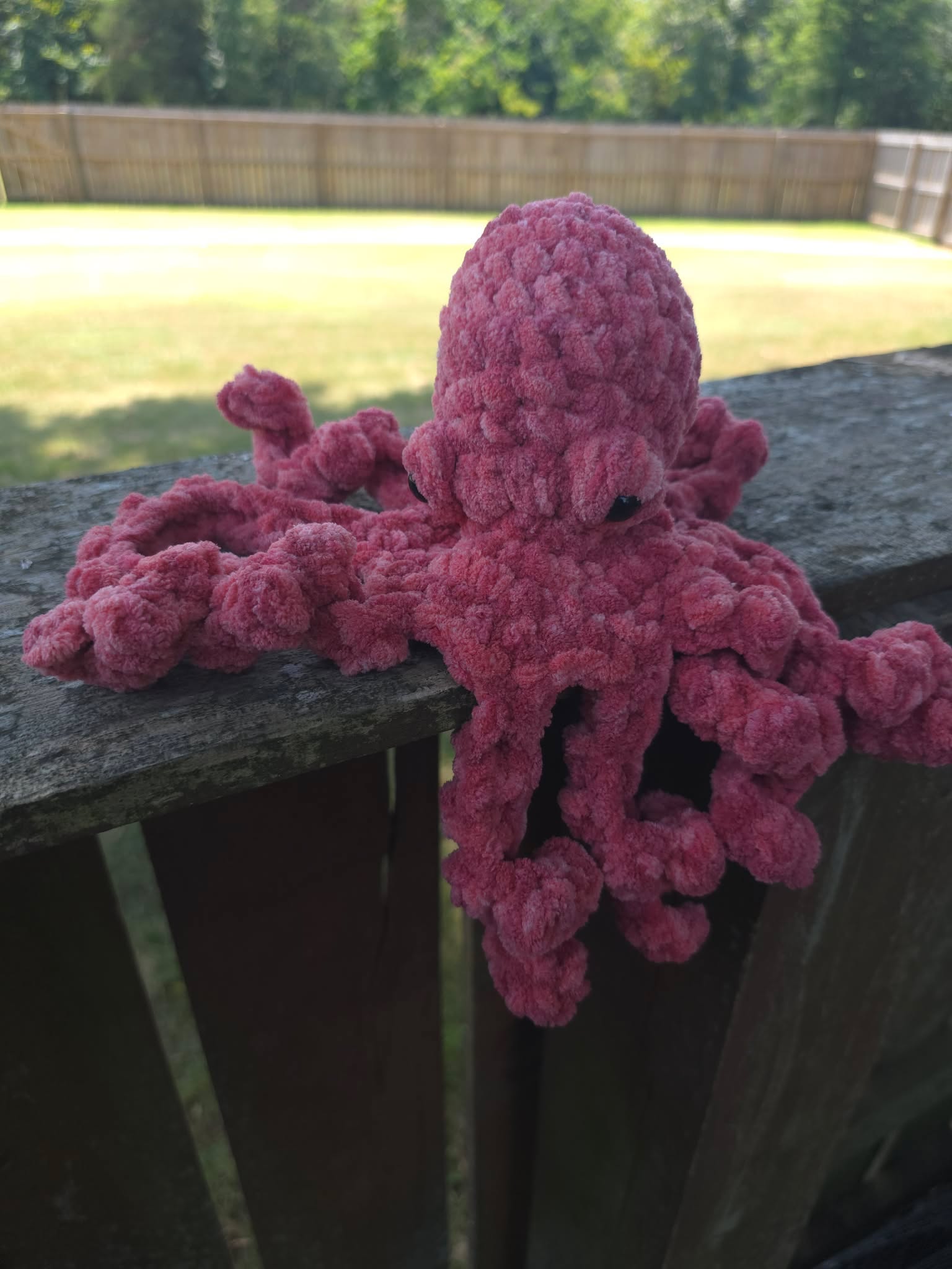 Mrs. Scarlett the Octopus