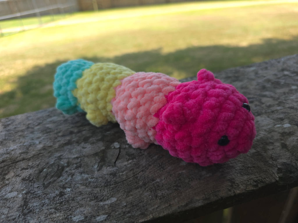 Rainbow Caterpillar