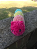 Rainbow Caterpillar
