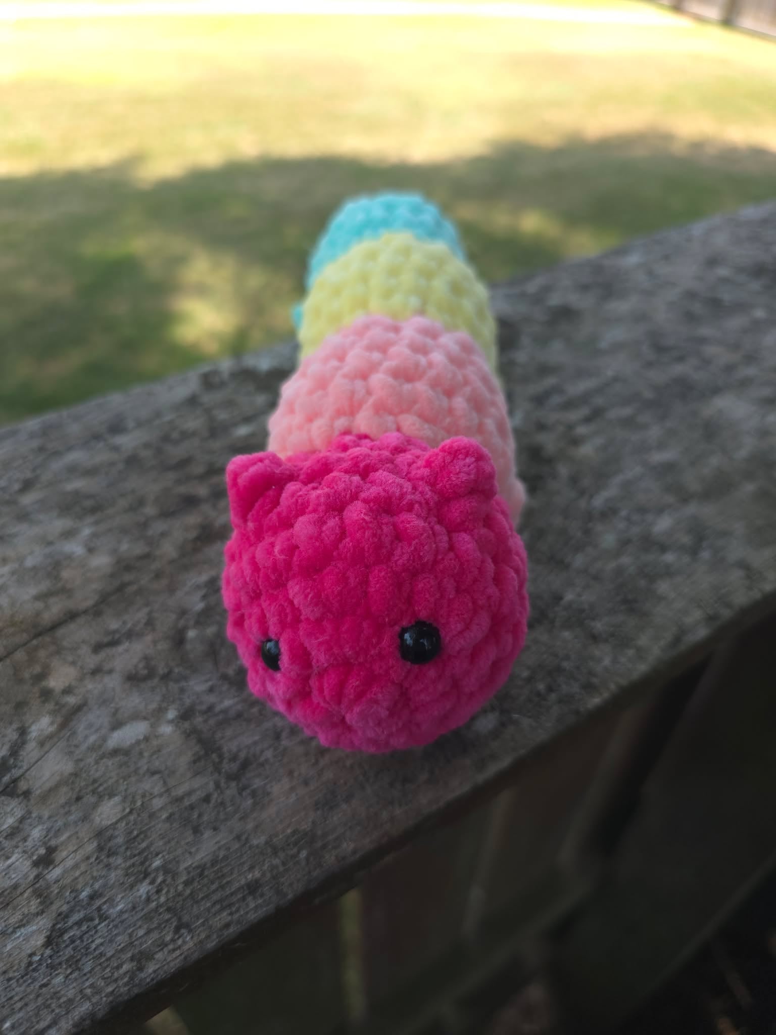 Rainbow Caterpillar