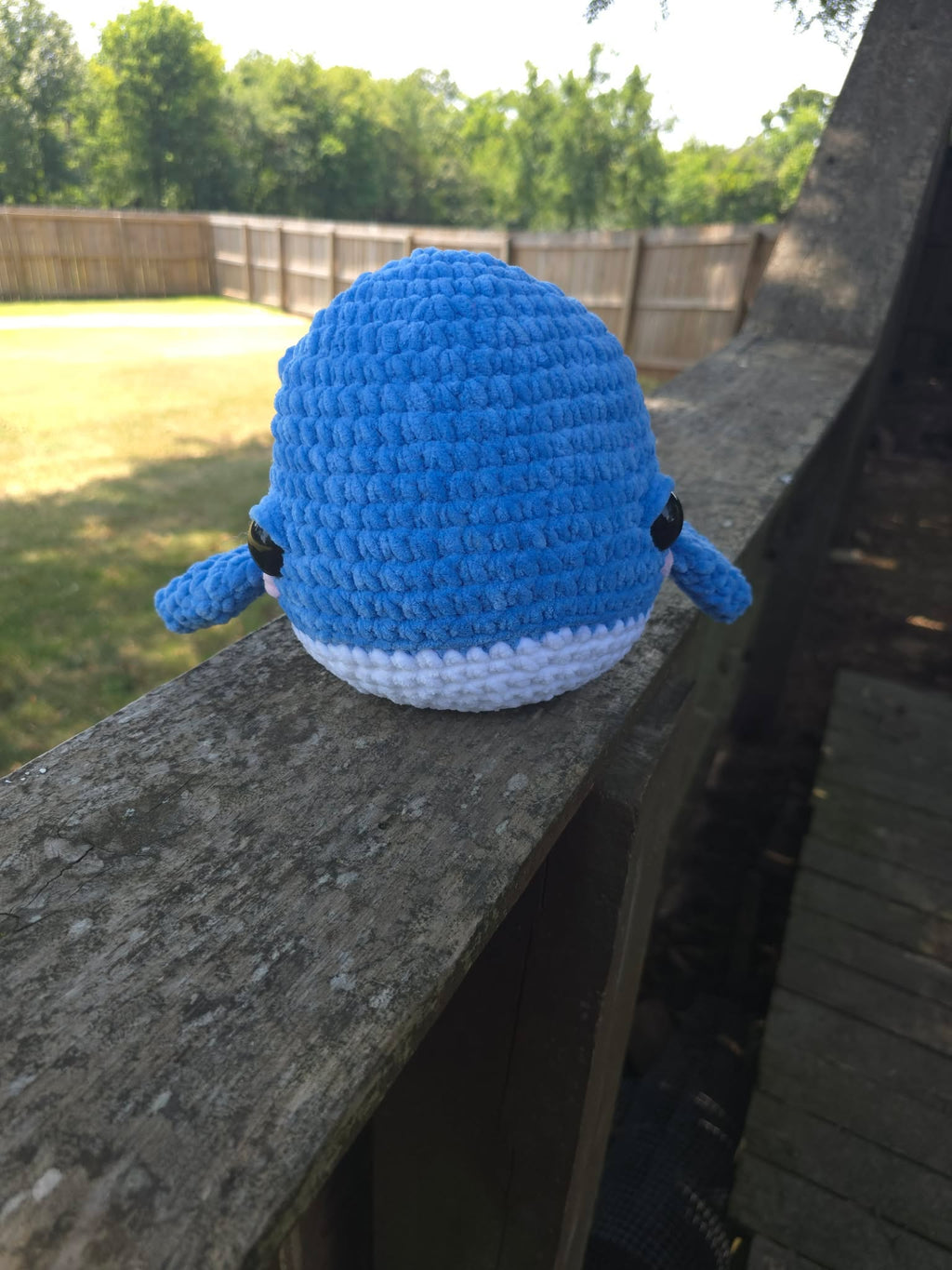 Collin the Whale
