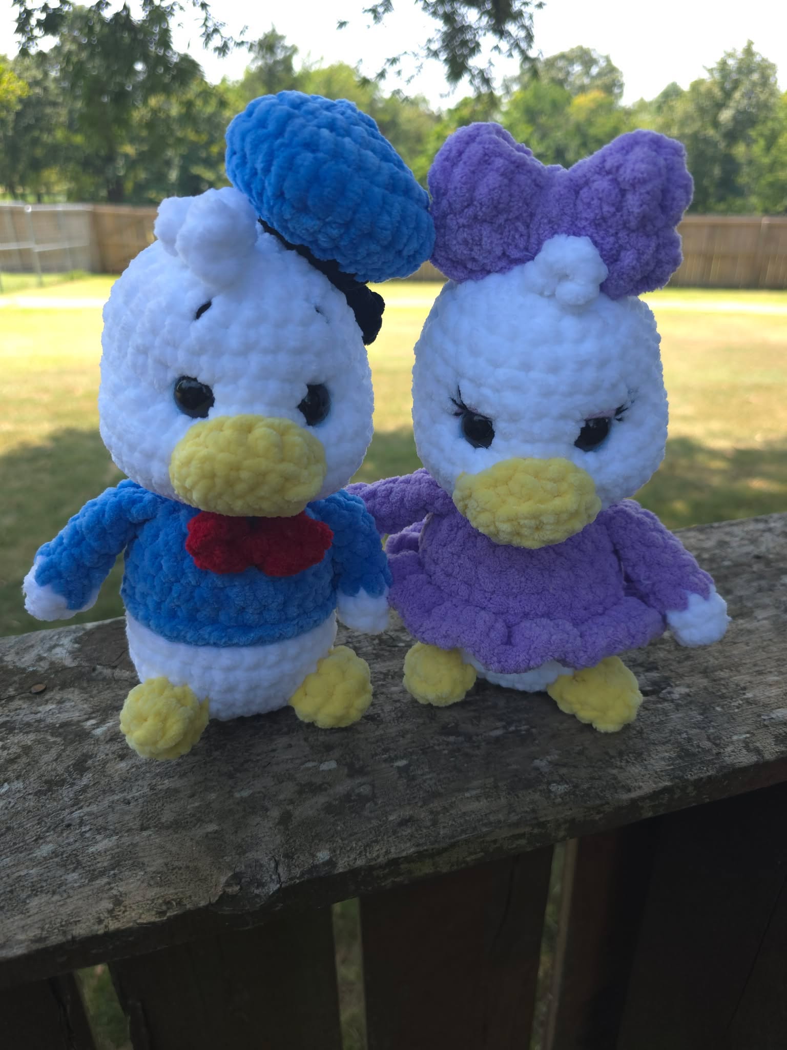 Donald & Daisy Duo