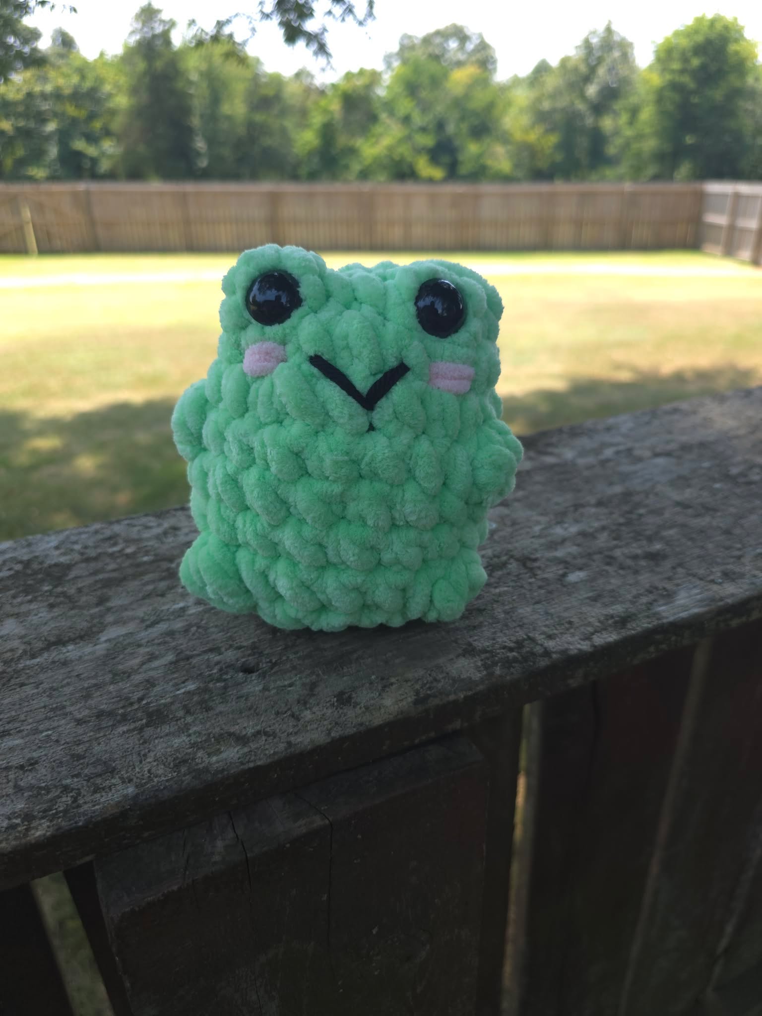 Squishy Frog