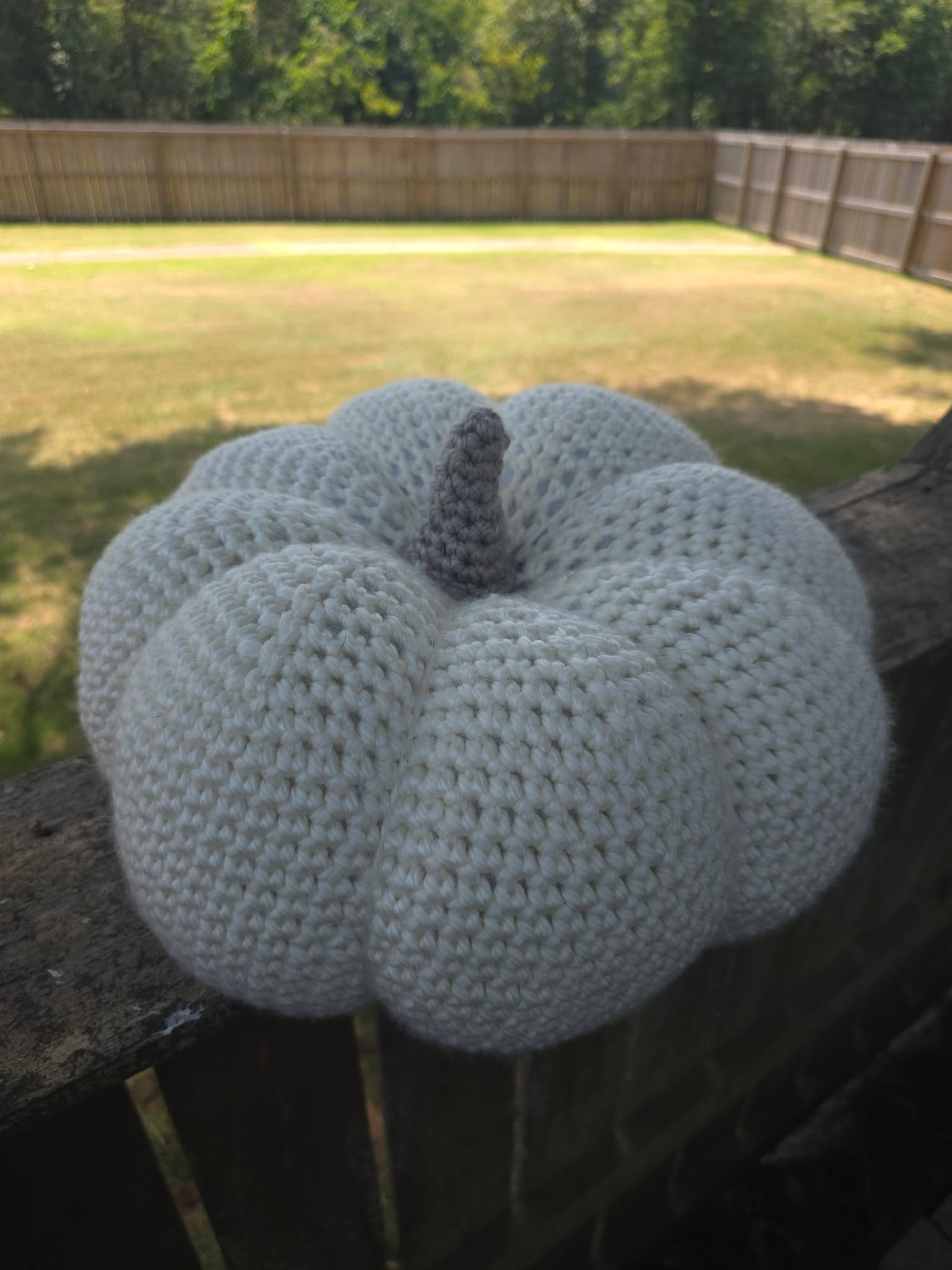 Pottery Barn & Anthropologie Inspired Elegant Pumpkin