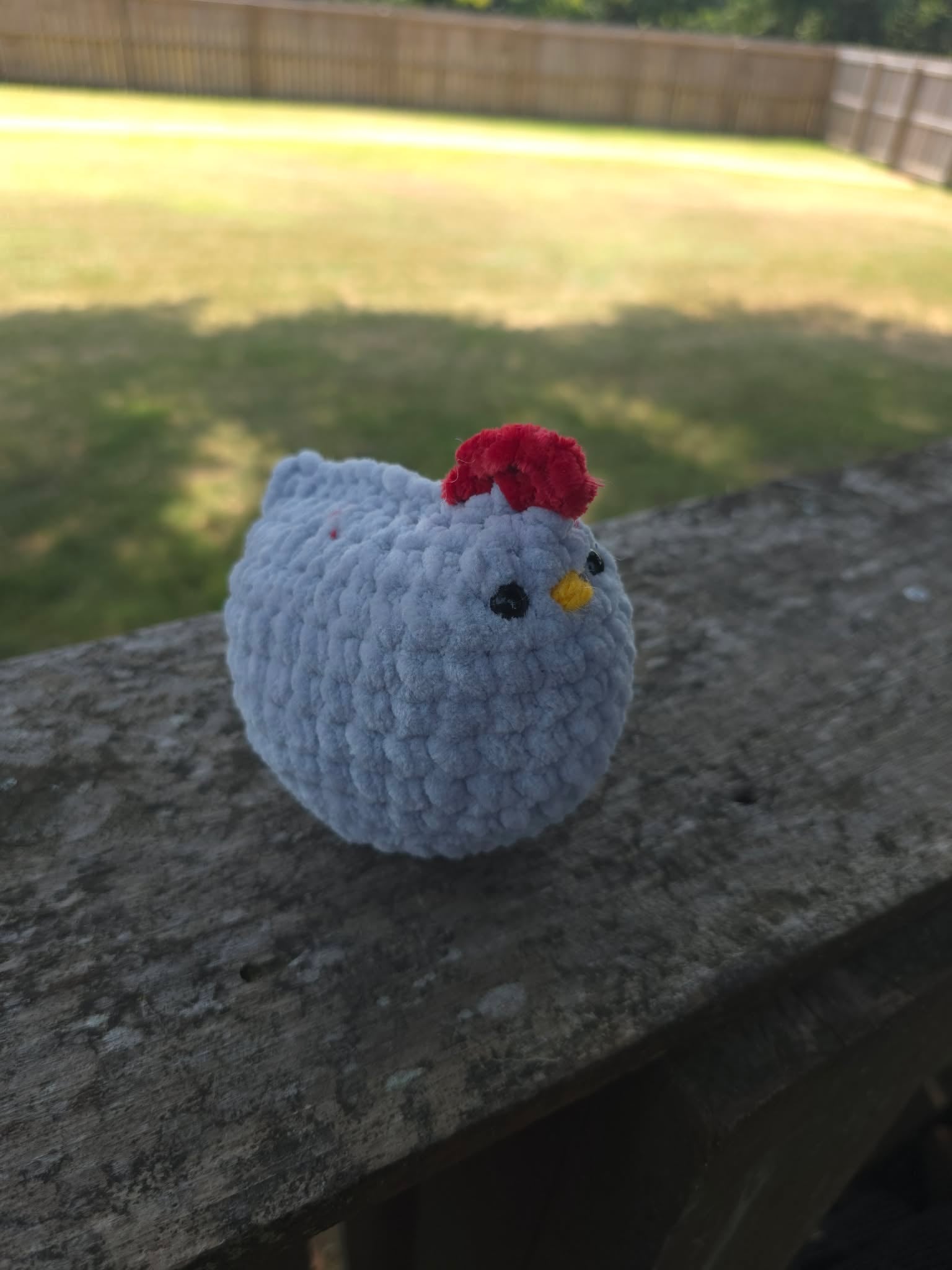 Baby Chick